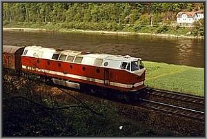 119 043 mit Güterzug vor Schöna