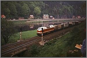 119 045 mit Güterzug bei Schöna