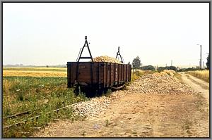 Güterwagen in Naundorf