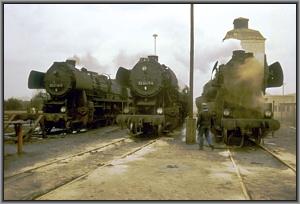 52 8076, 52 8071 und 52 8136 im Bw Haldensleben