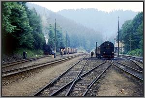 Panorama von Eisfelder Talmhle mit 99 0244 und 99 0234