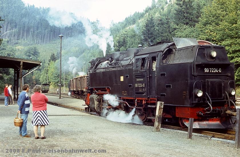 99 7234 in Eisfelder Talm�hle