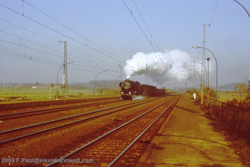 52 8135 in Golm