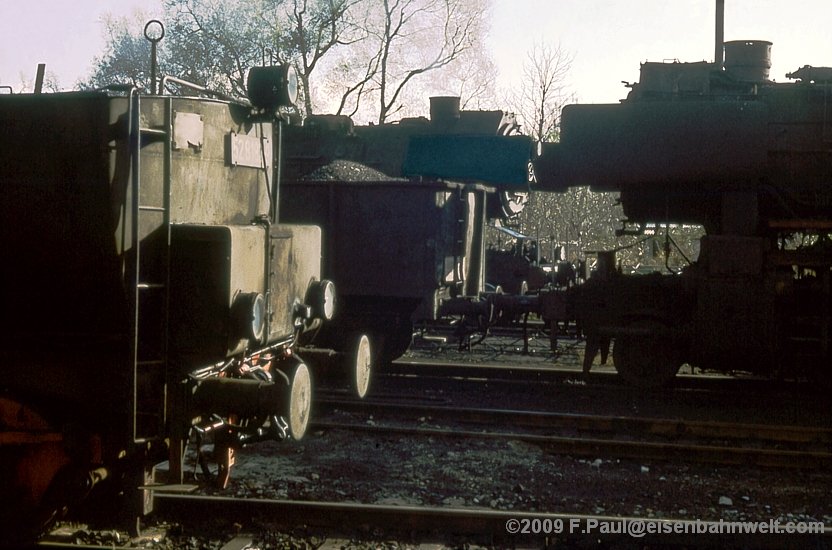 52 8135 in Brandenburg