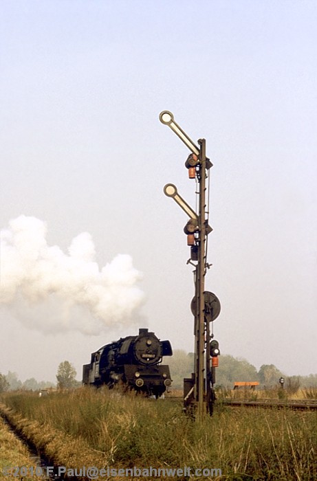 50 3700 in Nienhagen