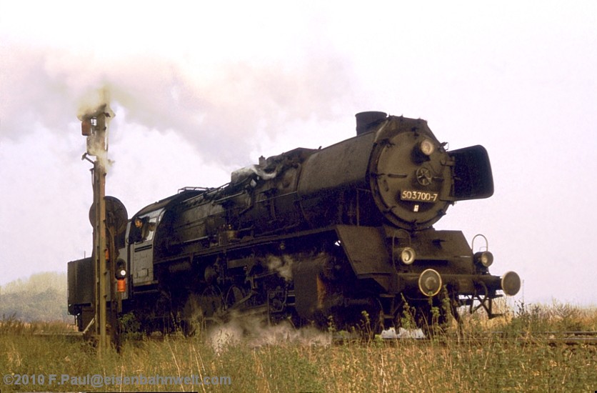 50 3700 in Nienhagen