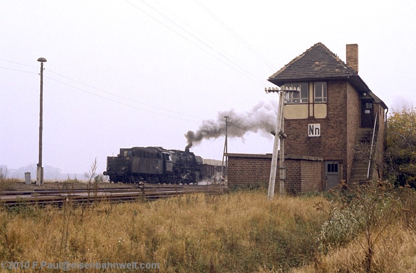 50 3700 in Nienhagen