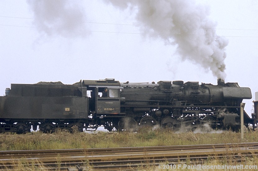 50 3700 in Nienhagen