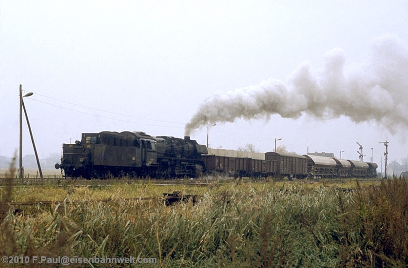 50 3700 in Nienhagen