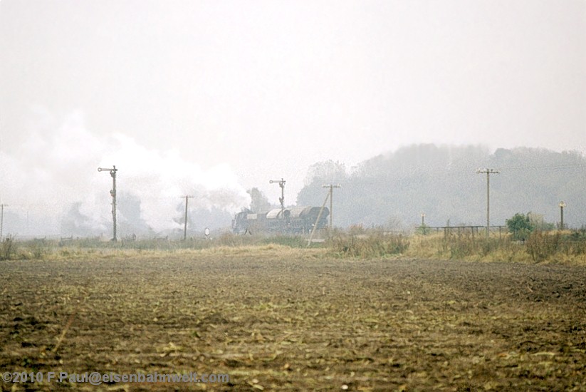 50 3700 in Nienhagen