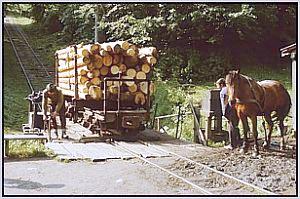 Plattform mit Holztruck in Siclau