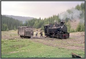 764 379 beim Wassernehmen in Gor