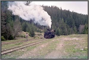 764 379 beim Wassernehmen in Gor