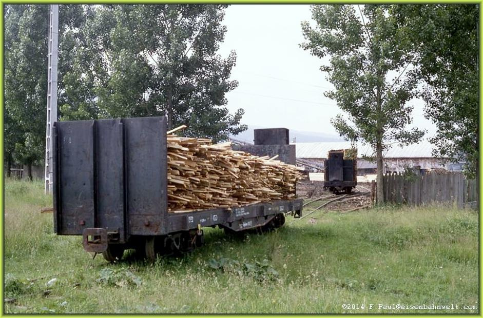 Holztruck in Covasna