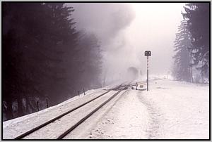 Der Zug verschwindet im Nebel