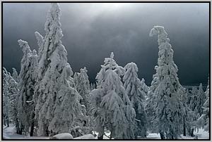 Schnee und Wolken am Brocken