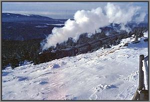 99 7245 mit P 8920 aus Nordhausen auf dem Brocken