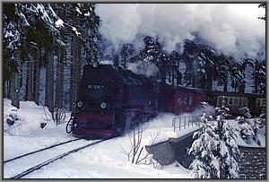 99 7235 mit P 8935 aus Wernigerode am Eckerloch