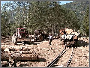 Holzbeladung in Poiana Novat