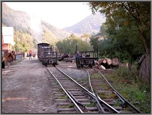 Der Zug in Valea Scradei