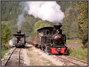 Der Zug in Valea Scradei