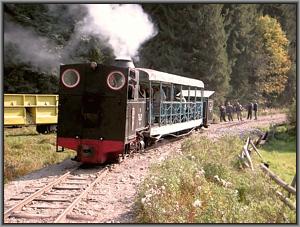 Zug bei Valea Scradei
