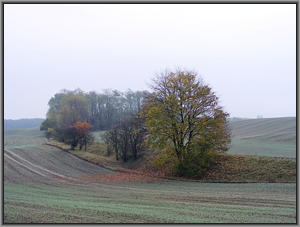 Bahndamm bei Mncheberg