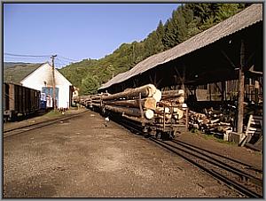Holztrucks in Viseu de Sus