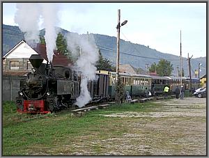 764 421 vor dem Touristenzug in Viseu de Sus