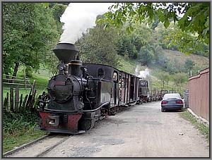 beide Zge in Valea Scradei