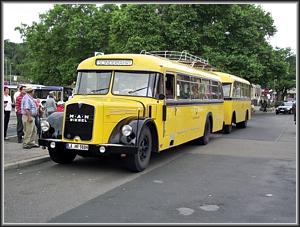 Zum Vergrößern auf das Bild klicken! Dort können Sie auch blättern und die Bildunterschriften lesen! MAN-Dieselbus in Neustadt (Weinstraße)