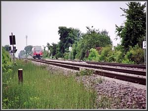 Zum Vergrößern auf das Bild klicken! Dort können Sie auch blättern und die Bildunterschriften lesen! 643 014/514 bei Neustadt (Weinstraße)