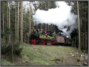 99 5902 mit dem Walpurgis-Sonderzug nach Schierke kurz vor dem Ziel