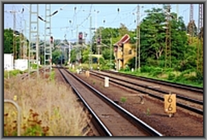 Sdostkopf in Cossebaude