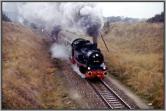 74 1230 zwischen Lancken und Sagard