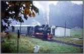 99 4632 mit Sonderzug in Garftitz